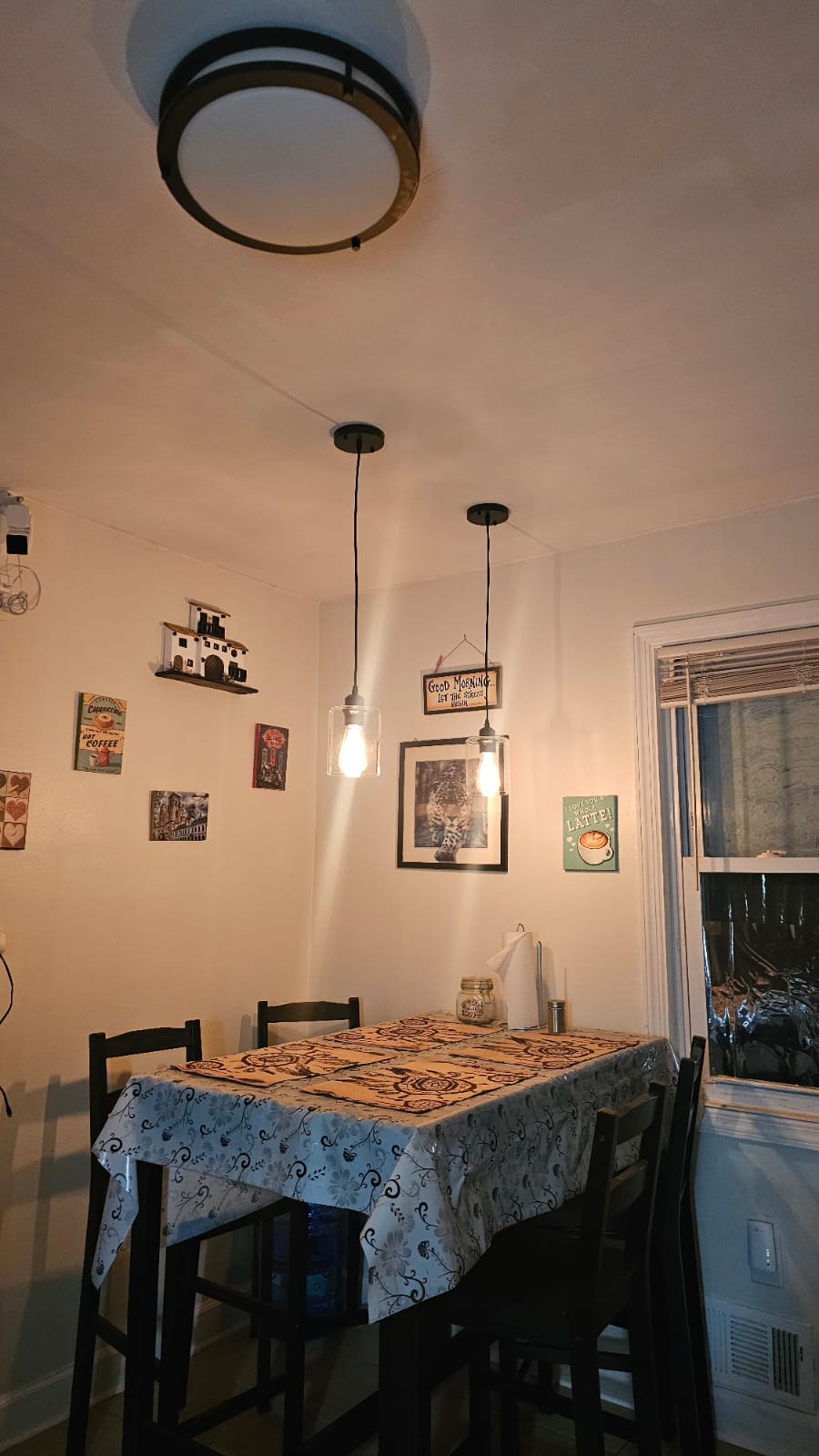 Chandelier Installation Project